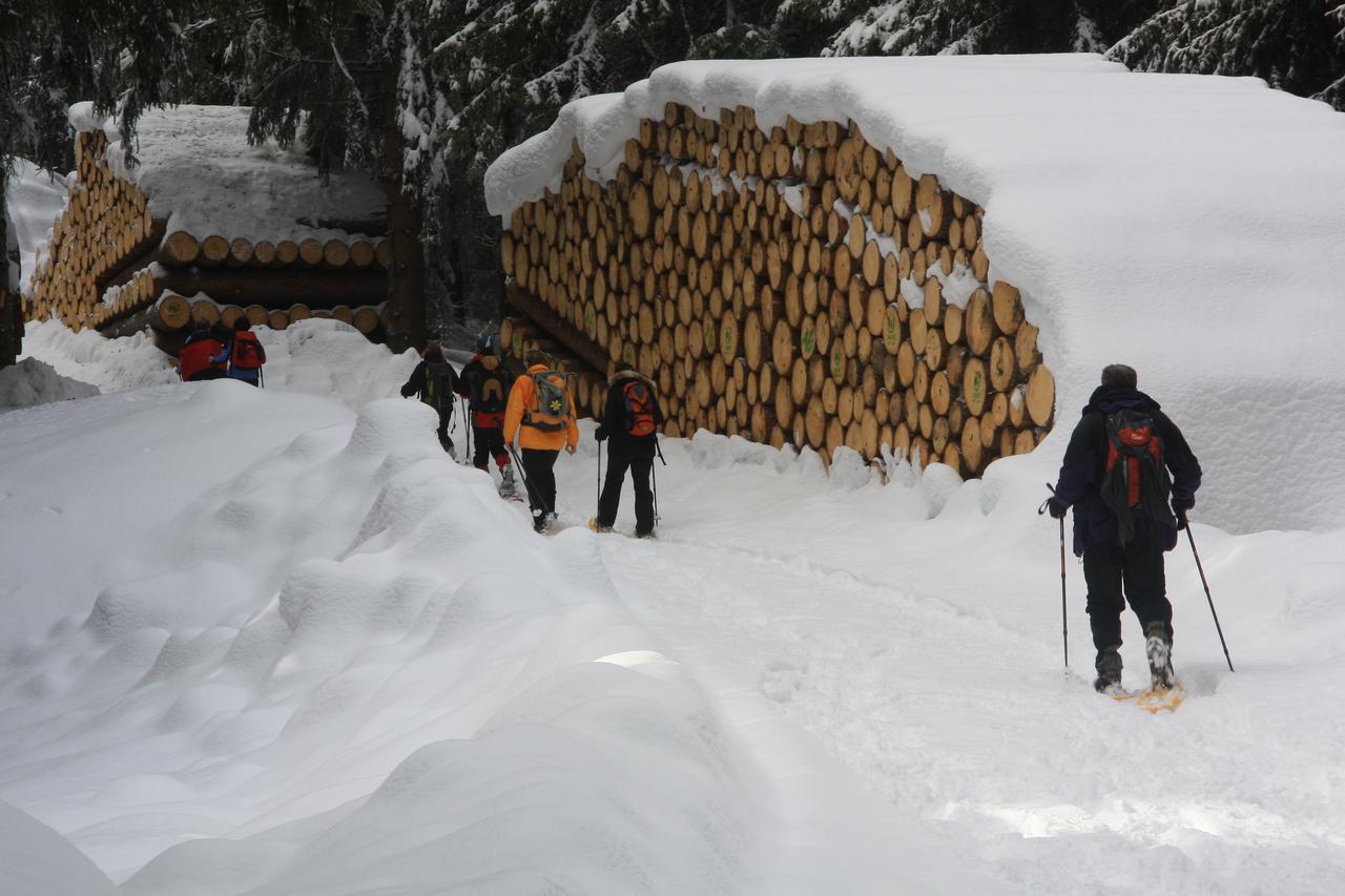 Gasthof Edelweiss Тирес Екстериор снимка